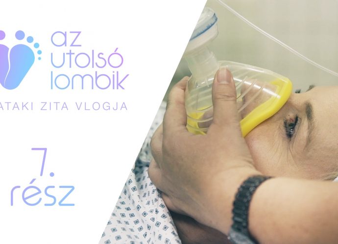 Pataki Zita: Az utolsó lombik, petesejt