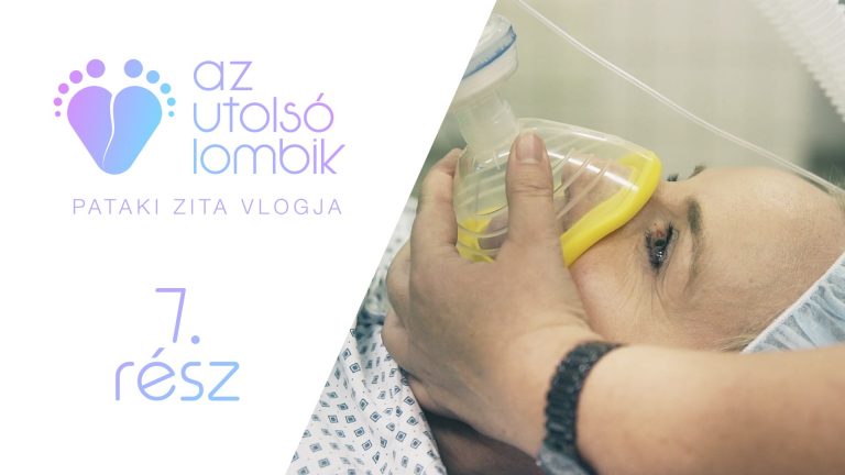 Pataki Zita: Az utolsó lombik, petesejt