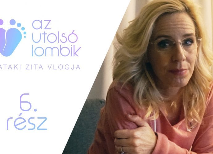 Pataki Zita az utolsó lombik, a petesejt beültetés