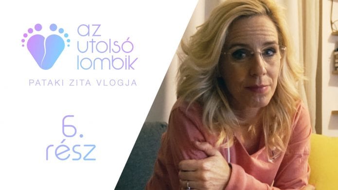 Pataki Zita az utolsó lombik, a petesejt beültetés