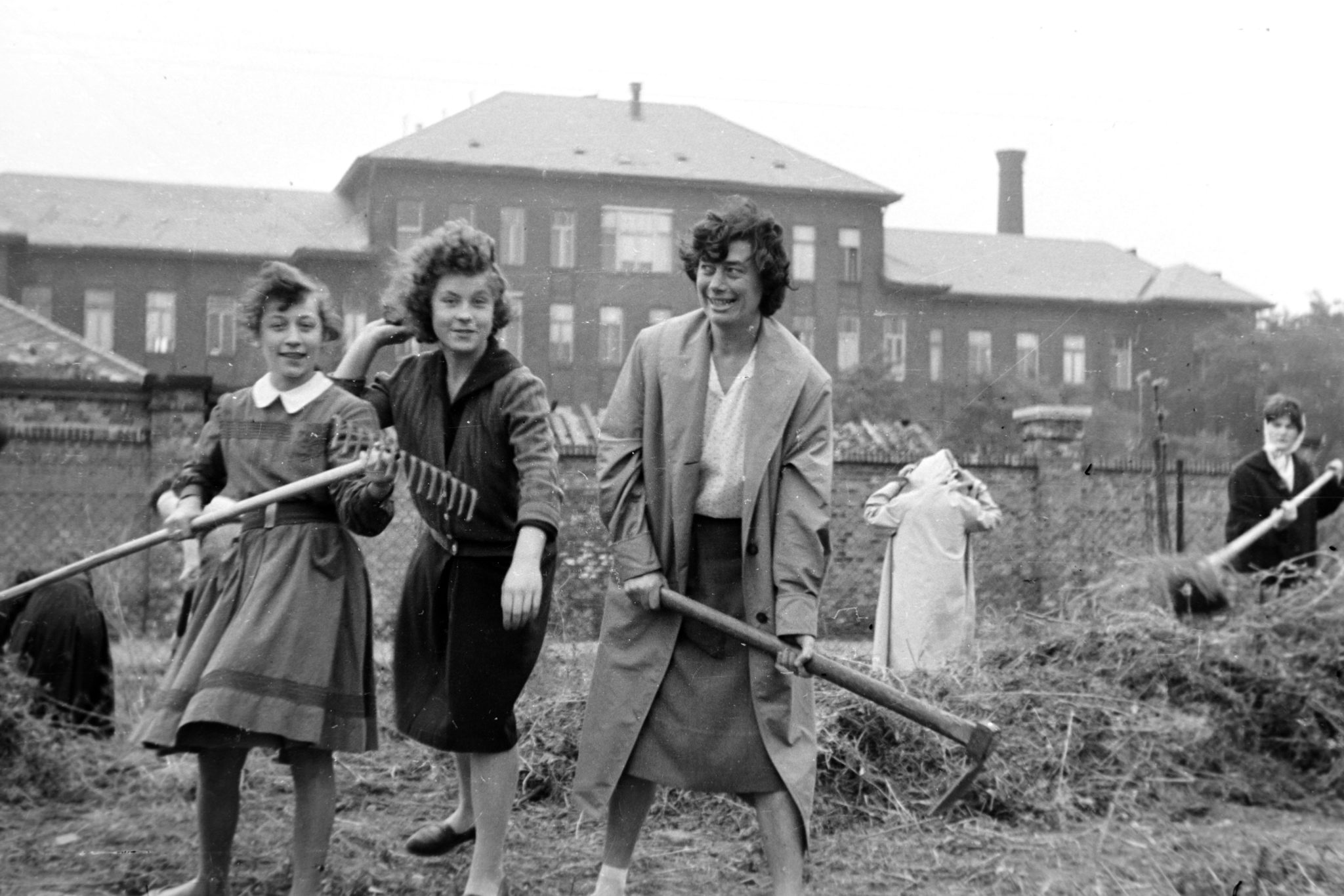 Haller utca (Hámán Kató út), a Ferencvárosi Művelődési Központ kertrendezése, a háttérben a Szent István Kórház szülészeti osztálya. 1961.
forrás: Fortepan / Németh Tamás