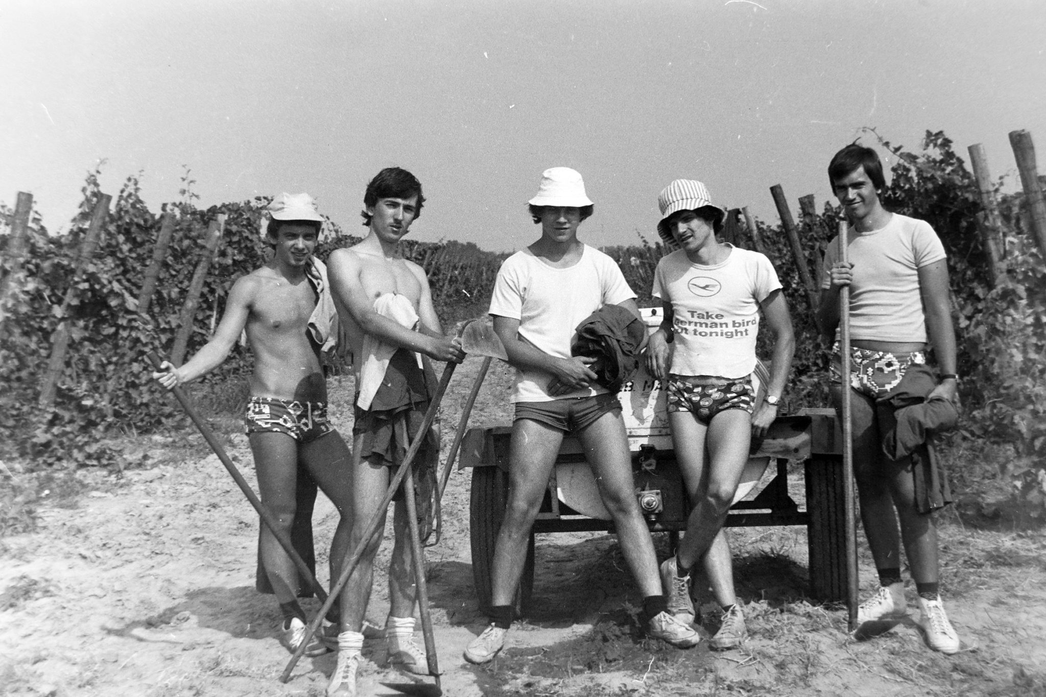 Földművelő fiúk 1984.
forrás: Fortepan / Madách Gimnázium