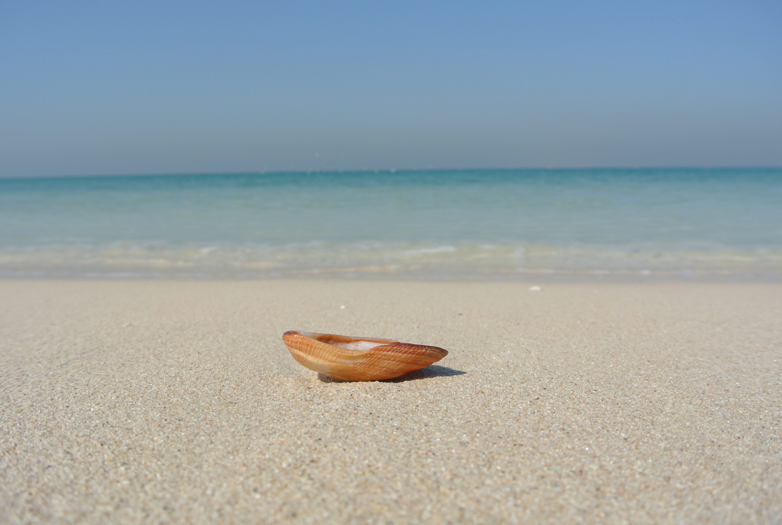 beach5