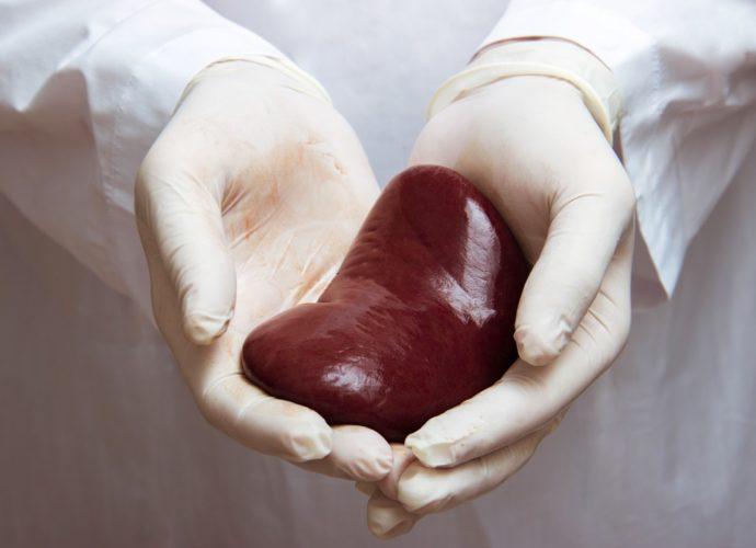 szervdonor-Csikósné Kiss Irma-transzplantáció-küldetés