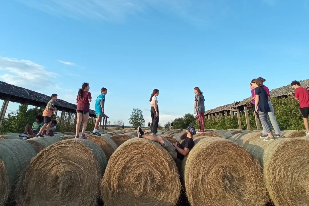 vállalkozó-gyermek-egyboglya-dobogo-seed