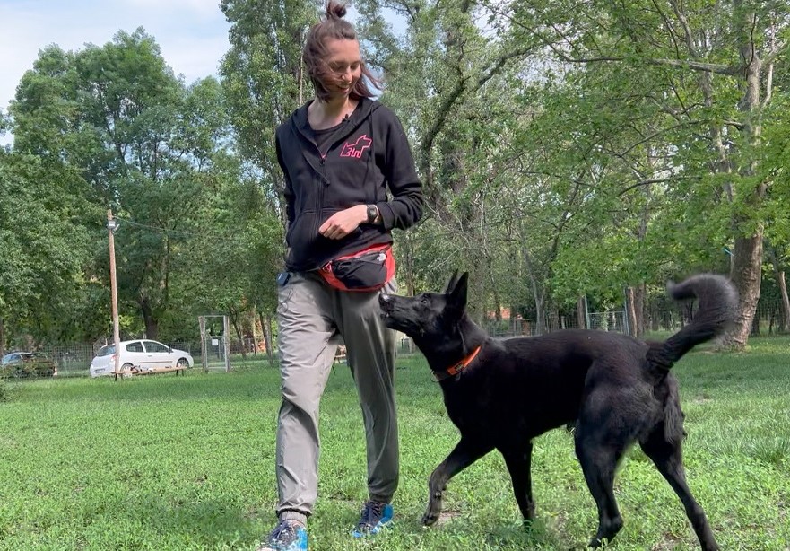 Valcz Zsófia, Online Kölyökkutya Program