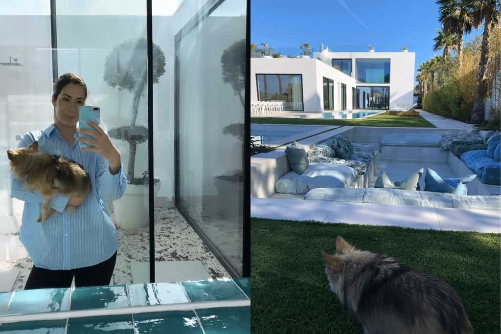 pet-sitter