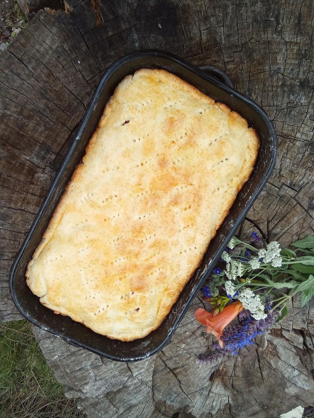 kamratöltögető