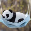 panda alszik egy maszkban, amely hintaágyként funkcionál