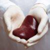 szervdonor-Csikósné Kiss Irma-transzplantáció-küldetés