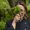 japán-szlovénia-alpok-Yuki Sovdat Nakao