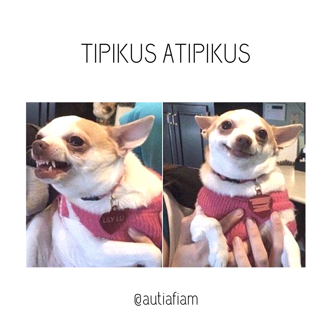 auti a fiam
