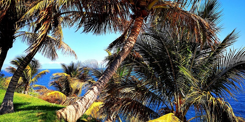 Tenerife