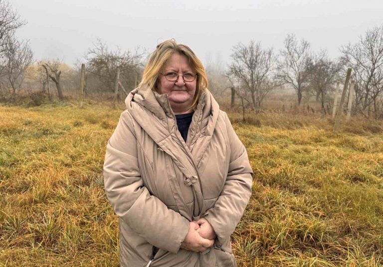 szállást és munkát keres Tünde